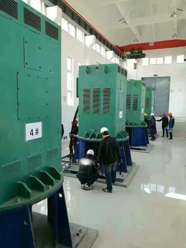 秦淮某污水处理厂使用我厂的立式高压电机安装现场